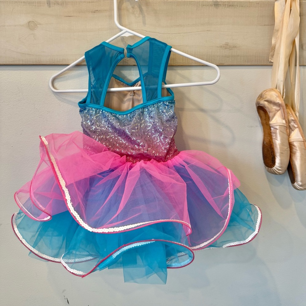 Weissman Tap Dancing Song costume tutu, pink blue, SC - Picture 5 of 8